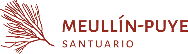 Santuario Meullín-Puye